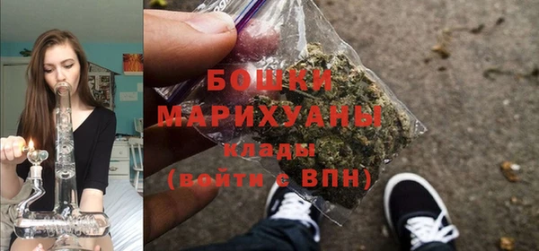 spice Аркадак
