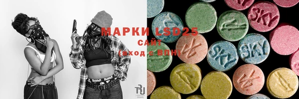 индика Армянск